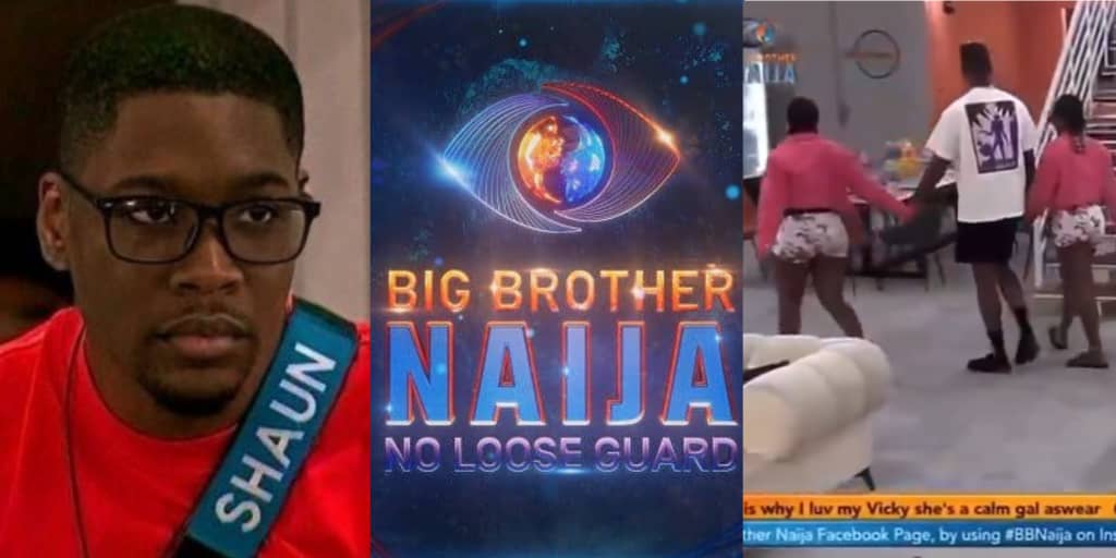 BBNaija: "Let's go and talk, my chihuahuas" - Shaun intervenes in Wanni X Handi feud following party drama