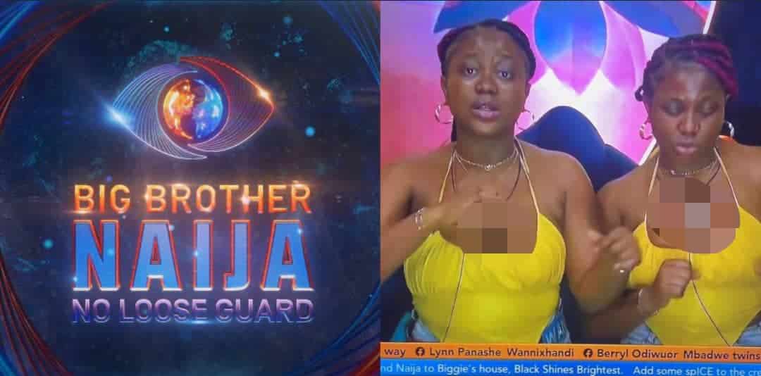 BBNaija: "We're stars" - Wanni X Handi brag as they dance to 'Mamushi' in diary session with Big Brother