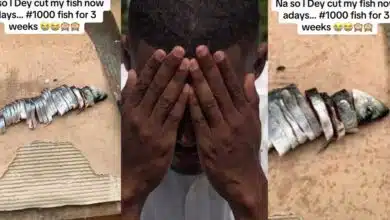 Nigerian man buys ₦1,000 fish, divides it into 28 pieces for 3-week consumption