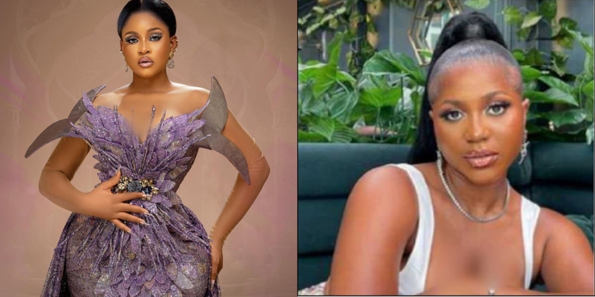 Phyna blasts Twitter influencers for trolling her over Wanni's comment