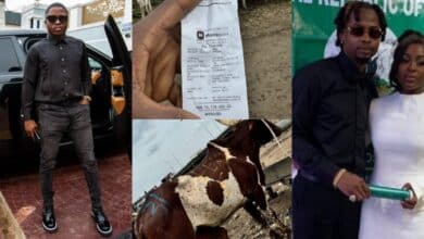 Fekomi gifts Yhemolee 10 cows worth over N10 million ahead of his wedding