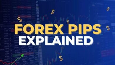 Exploring Pip Variations Across Different Currency Pairs