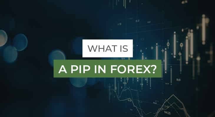 Exploring Pip Variations Across Different Currency Pairs