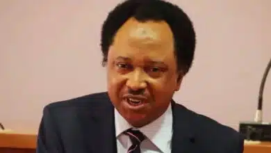 “Impose heavy fine on citizens with PVC who refuse to vote during elections” — Shehu Sani