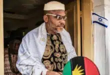 Again, IPOB pleads with FG to release Nnamdi Kanu to avoid harsh consequences