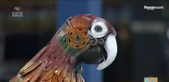 BBNaija: Big Brother’s parrot labeled useless by viewer for not spilling housemates' secrets