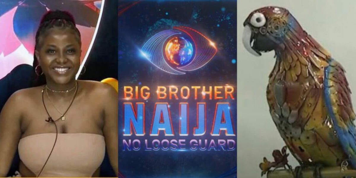 BBNaija: "I don't care what Ebuka will say" - Wanni criticizes Big Brother’s parrot