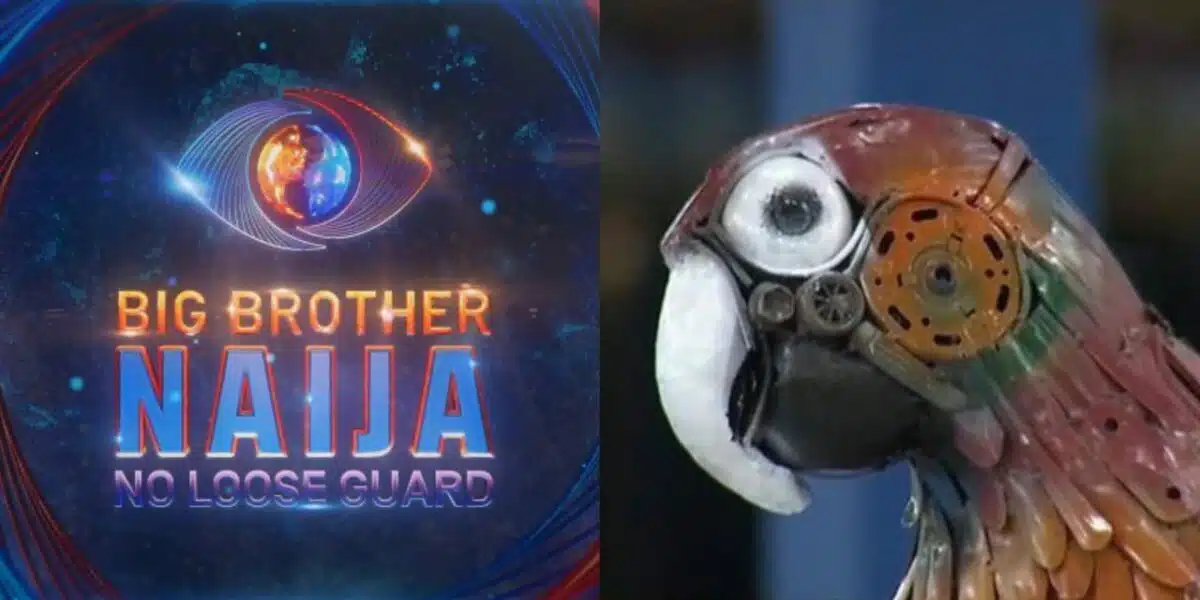 BBNaija: Big Brother’s parrot labeled useless by viewer for not spilling housemates' secrets