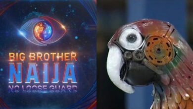 BBNaija: Big Brother’s parrot labeled useless by viewer for not spilling housemates' secrets