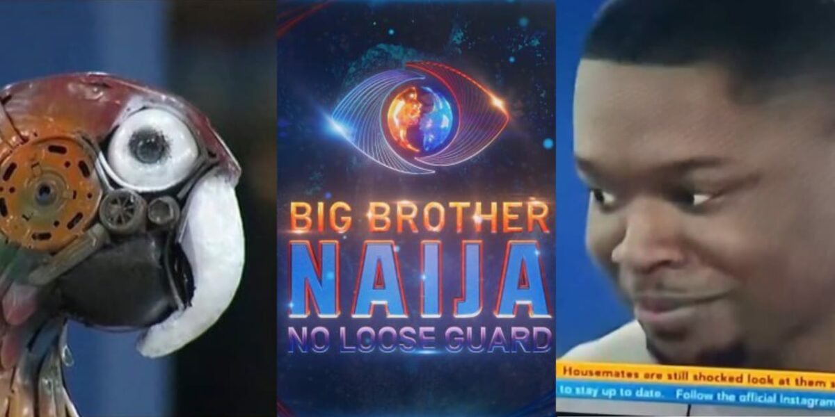 BBNaija: Parrot exposes Shaun's comment about his exes having big backside