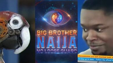 BBNaija: Parrot exposes Shaun's comment about his exes having big backside