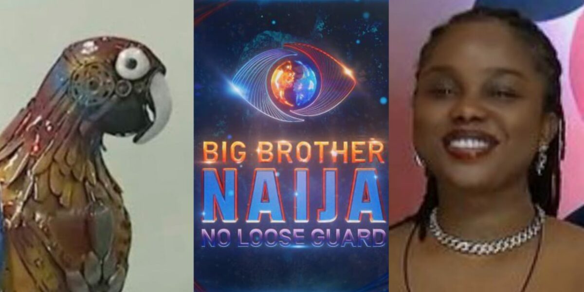 BBNaija: "Just plain, nasty, and dirty gossip" - Onyeka accuses parrot of spreading lies