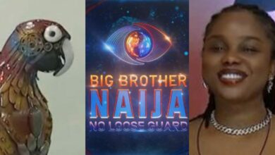 BBNaija: "Just plain, nasty, and dirty gossip" - Onyeka accuses parrot of spreading lies