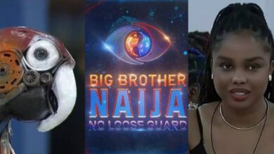 BBNaija: "The gist isn’t juicy, it’s not hot" - Onyeka mocks Big Brother’s parrot