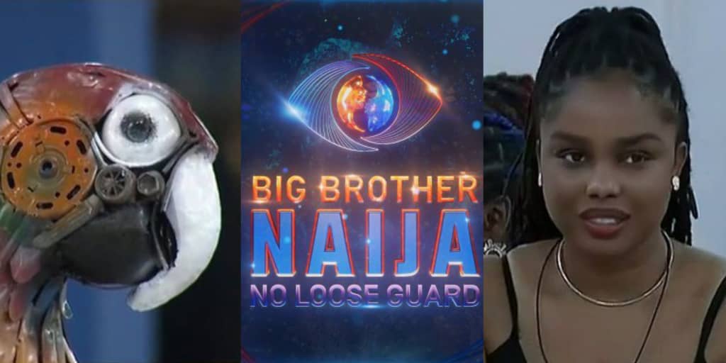 BBNaija: "The gist isn’t juicy, it’s not hot" - Onyeka mocks Big Brother’s parrot