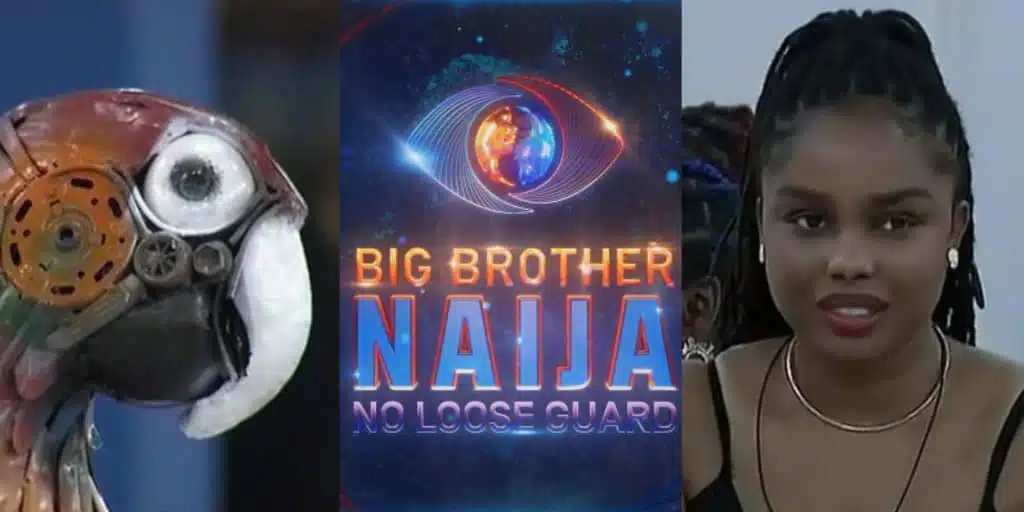 BBNaija: "The gist isn’t juicy, it’s not hot" - Onyeka mocks Big Brother’s parrot