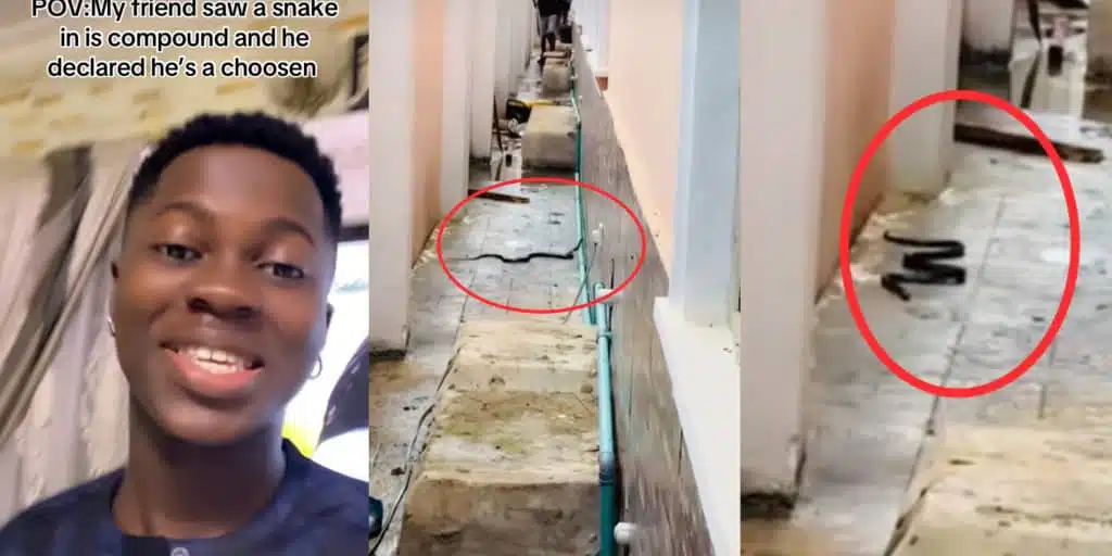 Man boldly chases snake from compound, declaring "I am chosen"