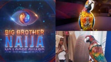 BBNaija S9: Excitements as Big Brother reintroduces the parrot