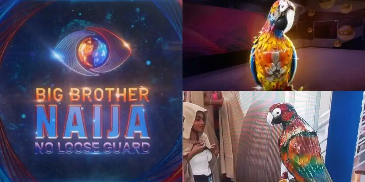 BBNaija S9: Excitements as Big Brother reintroduces the parrot