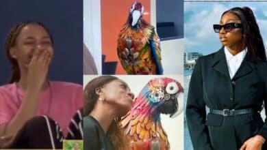 BBNaija: "The parrot reminds me of Doyin" – Victoria