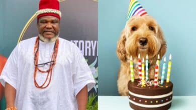 Ugezu Ugezu shares how woman gets upset over his absence at her dog’s birthday