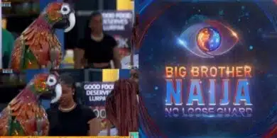 BBNaija: Parrot cries out over inactivity of housemates, begs Biggie for freedom