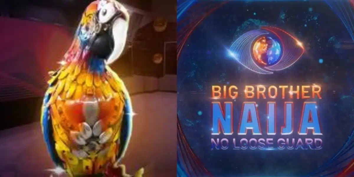 BBNaija: Viewer calls for eviction of parrot for refusing to talk