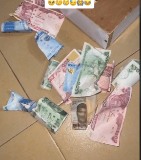 Lady laments after saving N10K daily for 1 year, only to see N6,500 in piggybank