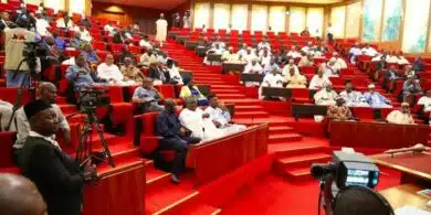 Nigerian senators split on regional government revival