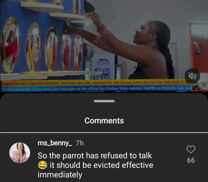 BBNaija: Viewer calls for eviction of parrot for refusing to talk