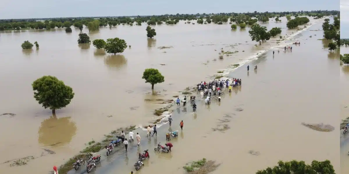 FG warns of flood risk as Cameroon begins water release of Lagdo Dam