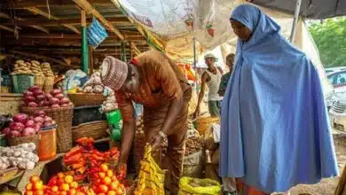 Nigeria’s Inflation Rate Falls to 33.2%