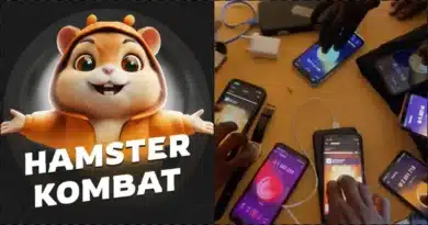 "Tapping phone can't make you rich" - Tutor mock Hamster Kombat's CEOs