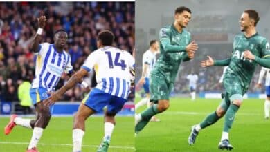 EPL: Tottenham collapse against Brighton in five-goal thriller