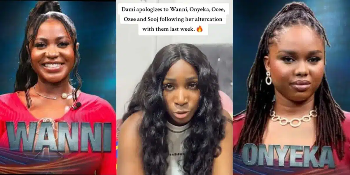 BBNaija: "I'm sorry" - Dami seeks forgiveness from Wanni, Onyeka, and viewers after house drama