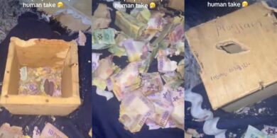 Rat devours woman's savings in heartbreaking video