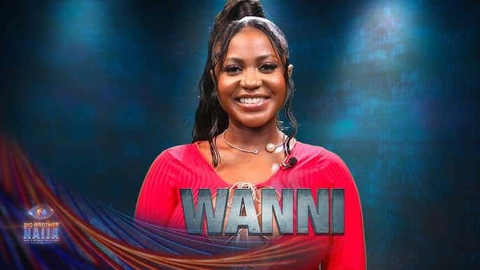 BBNaija: Viewer promises iPhone 14 Pro Max to Wanni’s fan if she wins show, ₦100 million prize