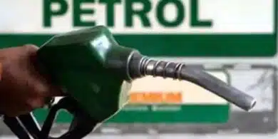 “Imported fuel will be cheaper than current rate” — PETROAN