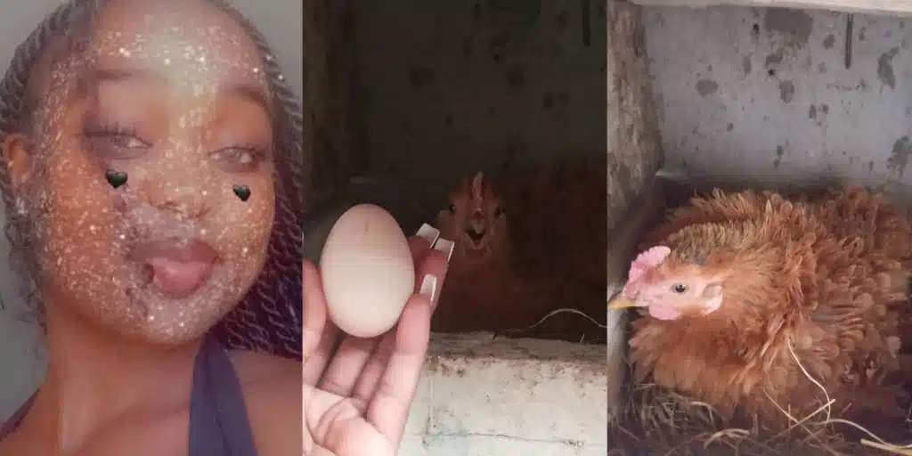 Lady celebrates on social media as her hen, Rihanna, lays first egg