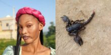 Lady narrowly escapes harm as scorpion falls from top of shower while bathing