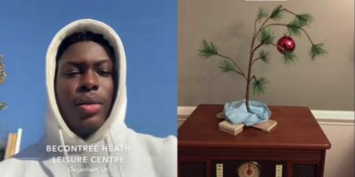 UK-based Nigerian man laments after ordering Christmas tree online, receives tiny piece instead