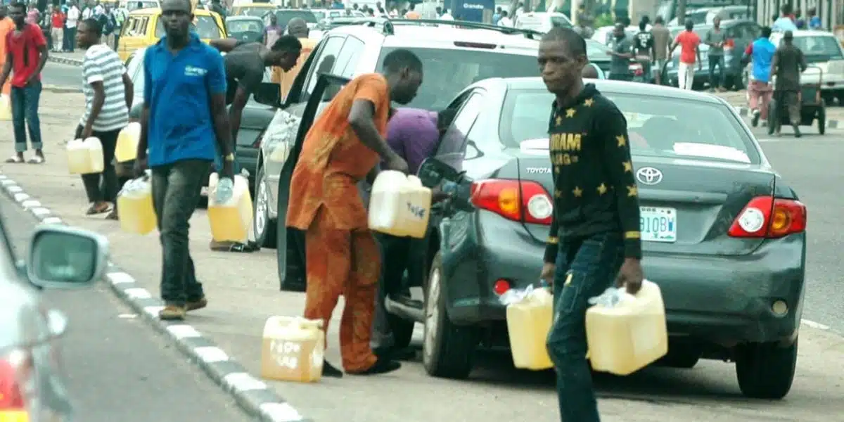 Petrol price hike and fuel scarcity update for November 12th, 2024