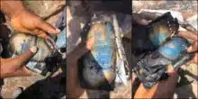 Man bursts into tears after his savings were burnt in fire accident