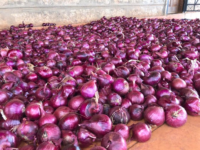 Farmer shares Christmas eve scam experience, warns tradersFarmer narrowly avoids online scam by insisting on deposit, saving his onion produce from fraudulent buyer posing as Reverend Father.