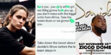 Woman who called Davido's show the 'most boring 45 minutes' of her life gets scary messages from fans