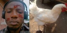 Man shocks many, lists 7-month-old chicken for ₦55k, calls it 'the cheapest'