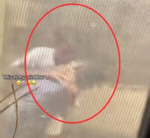 Man films two secondary school students engaging in inappropriate behavior behind his window