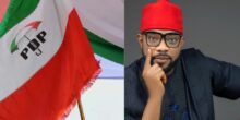 PDP expels Ugochinyere for gross indiscipline