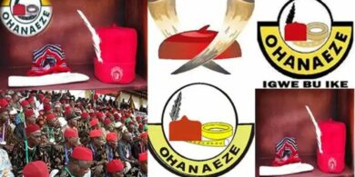 Ohanaeze elect new president-general