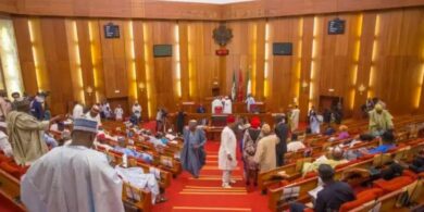 Tinubu's 2025 budget passes second reading in Senate